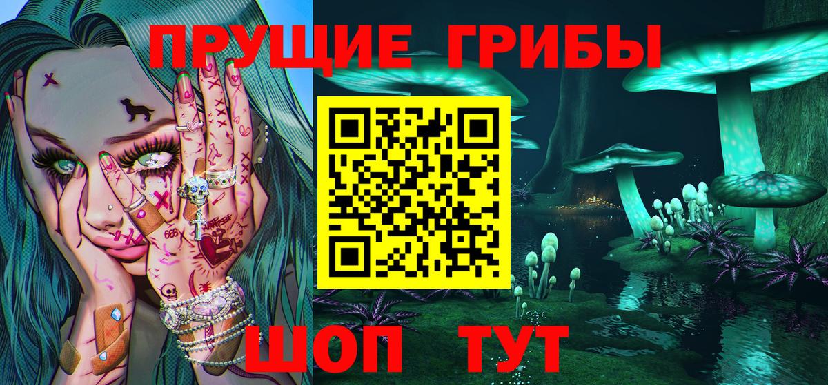 Галлюциногенные грибы Psilocybine cubensis  купить наркотики сайты  Вход с VPN  Кохма  Псилоцибиновые грибы Cubensis 