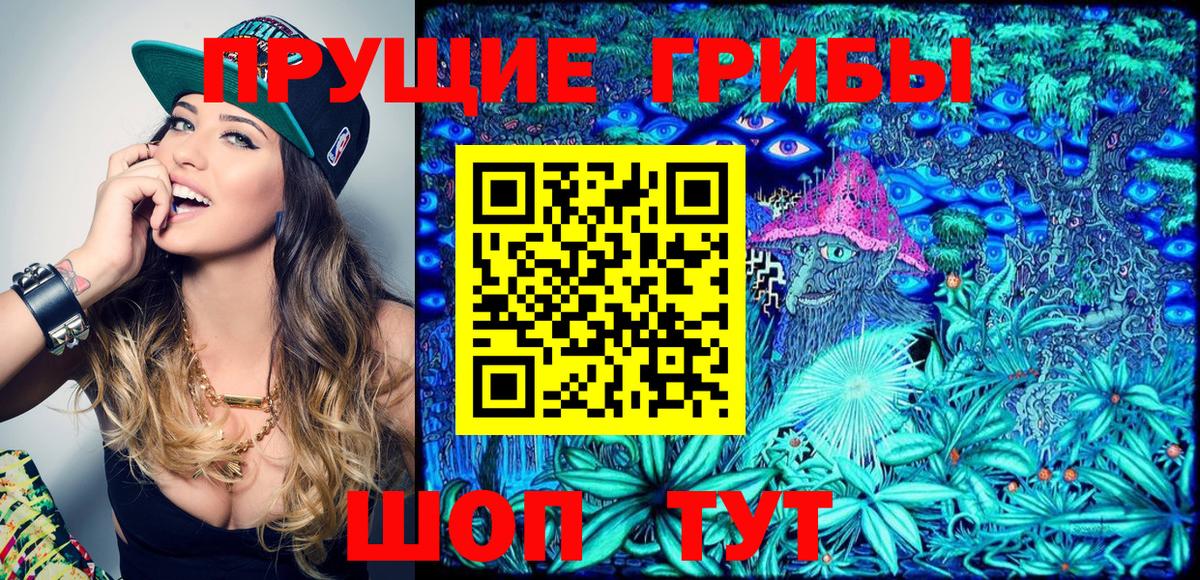 Галлюциногенные грибы Cubensis Кохма